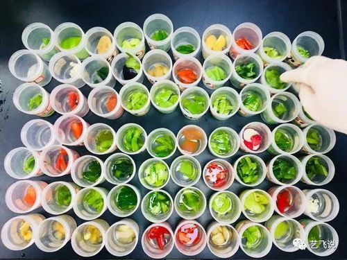 武漢節(jié)前農(nóng)產(chǎn)品質(zhì)量安全獲堅實保障，189批次抽檢結(jié)果全數(shù)合格