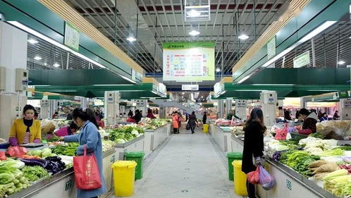 路橋食光 共享美味，打造農產品批發新生態